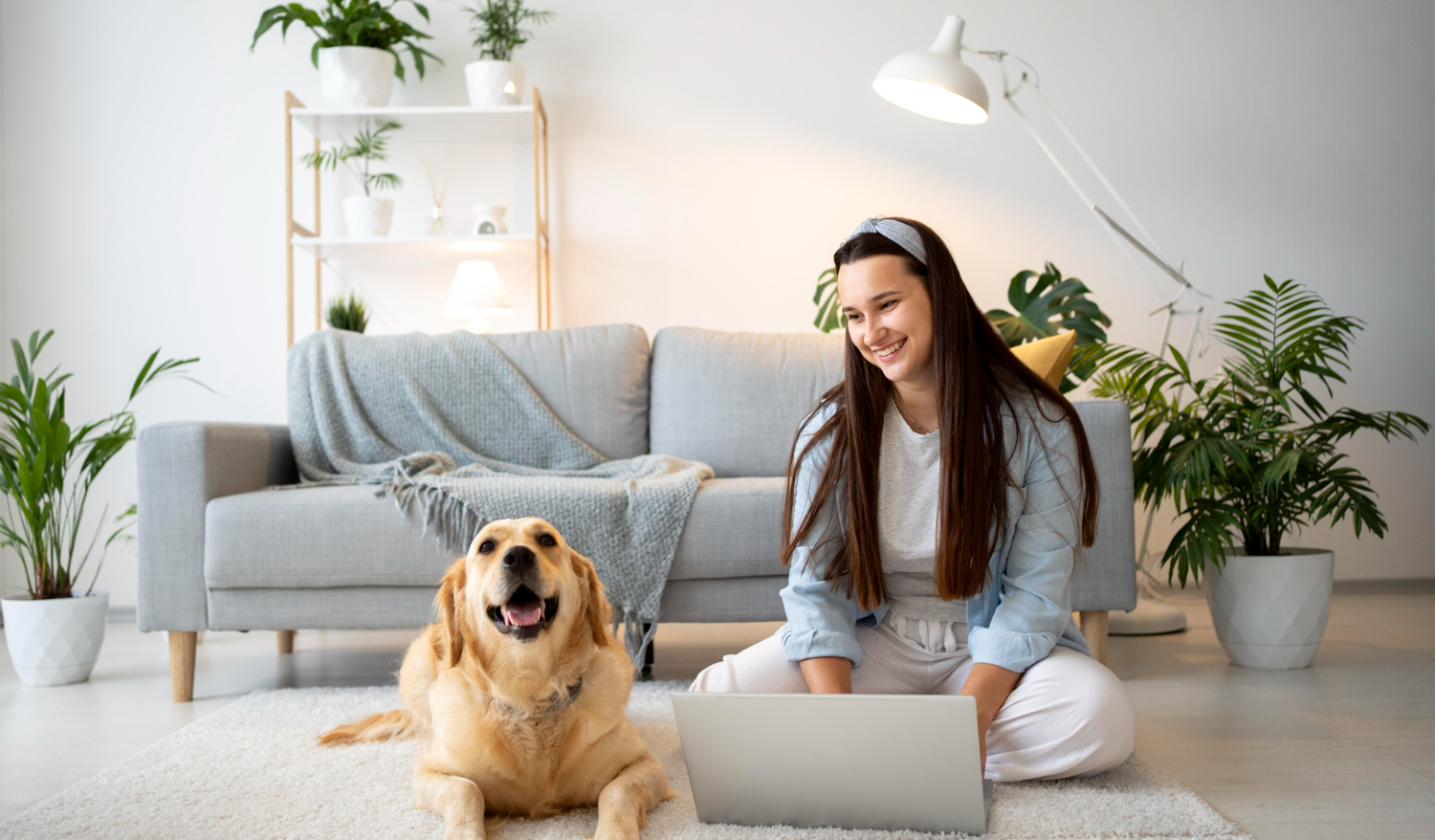 pet friendly apartment