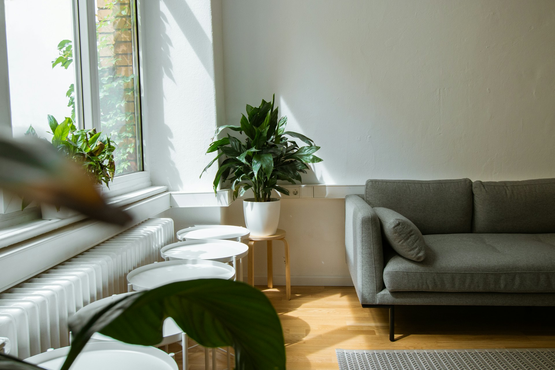 Renting an Apartment